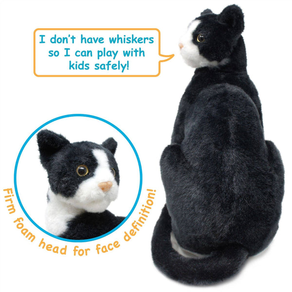 Tuxedo Cat
