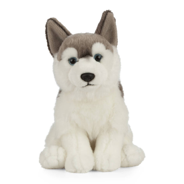 Husky Plush Toy