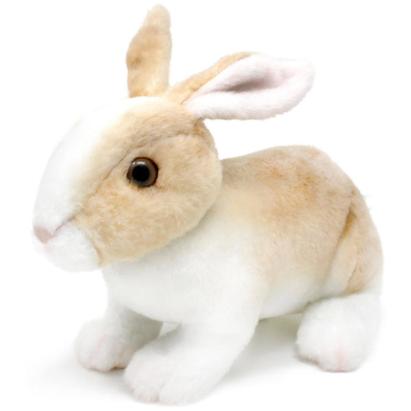 Ridley The Rabbit