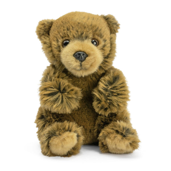 Sitting Brown Bear