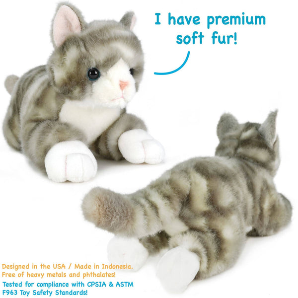 Grey Tabby Cat