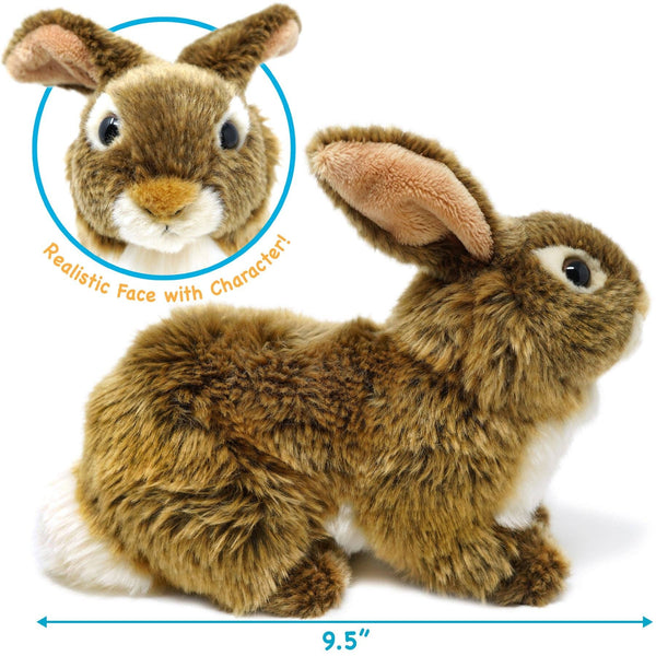 Brigid The Rabbit