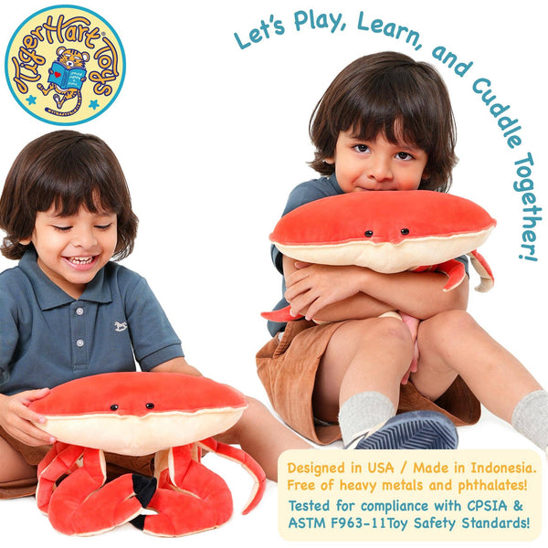 Cora The Crab