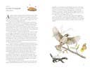 Around the World in 80 Birds