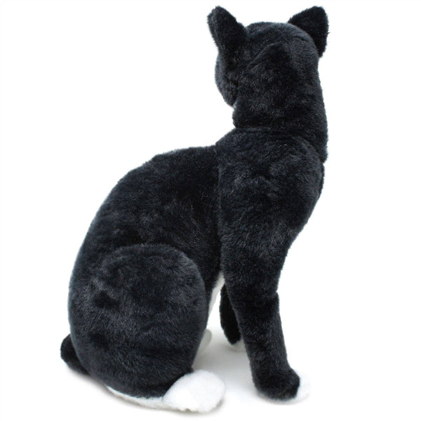Tuxedo Cat