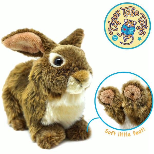 Brigid The Rabbit