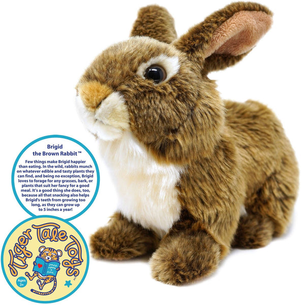 Brigid The Rabbit