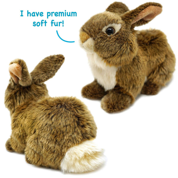 Brigid The Rabbit