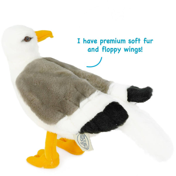 Seamus The Seagull