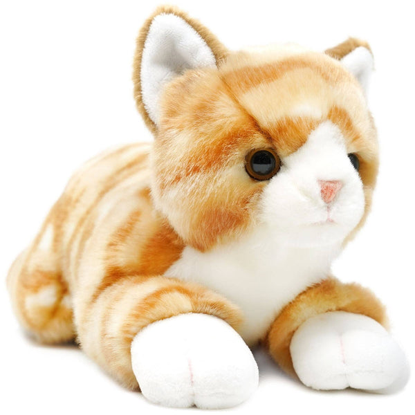 Orange Tabby Cat