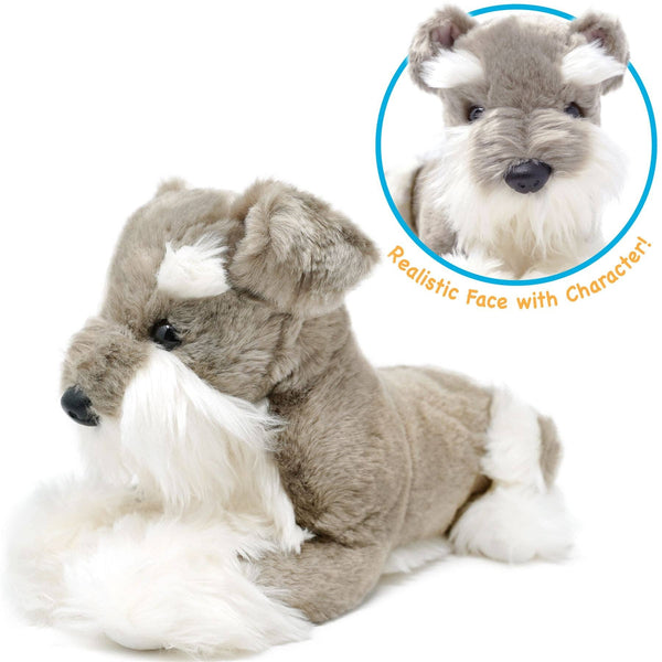Siegfried The Schnauzer