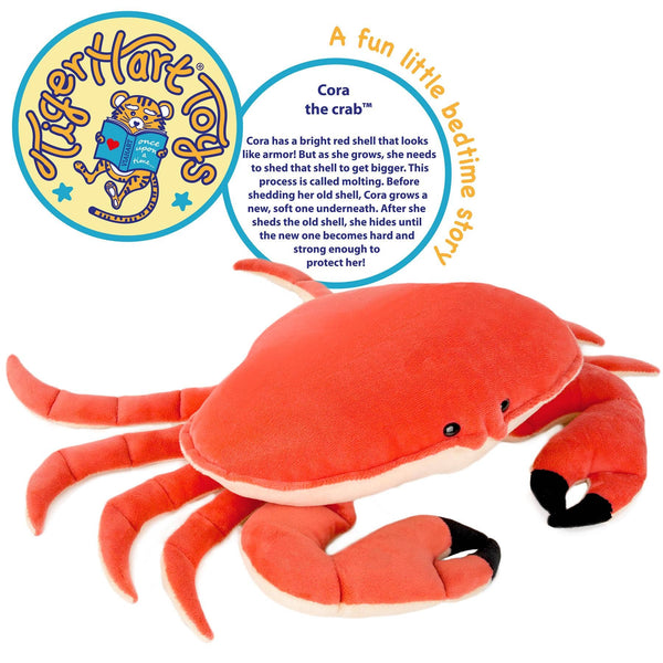 Cora The Crab