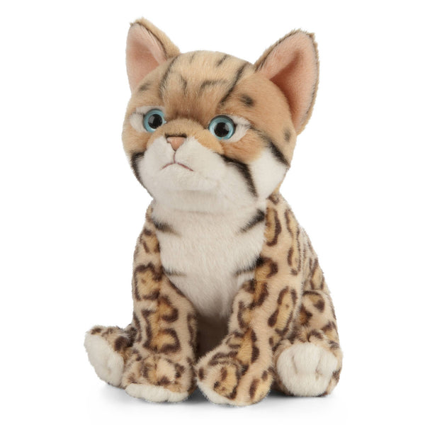 Bengal Kitten Toy