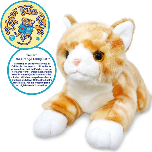 Orange Tabby Cat