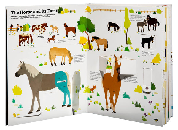 Ultimate Book of Horses
