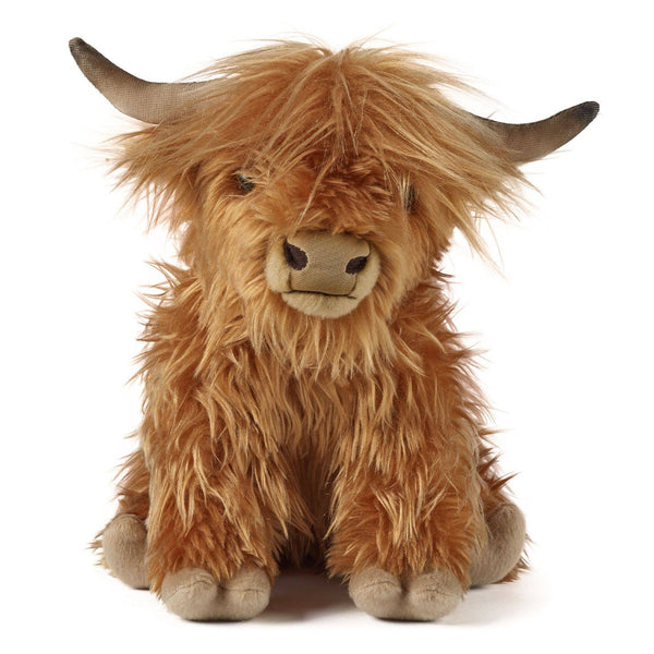 Large Highland Cow