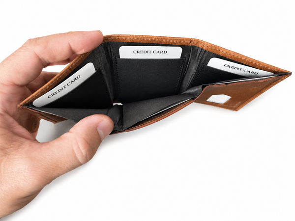 Sahara Minimalist Trifold