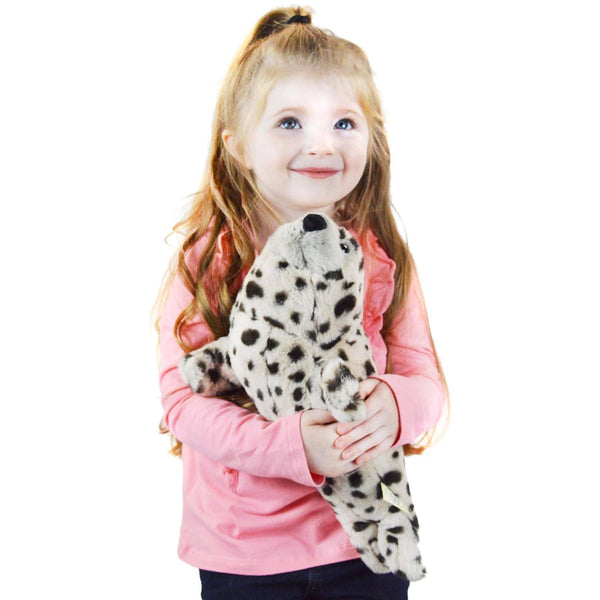 Simona The Spotted Seal