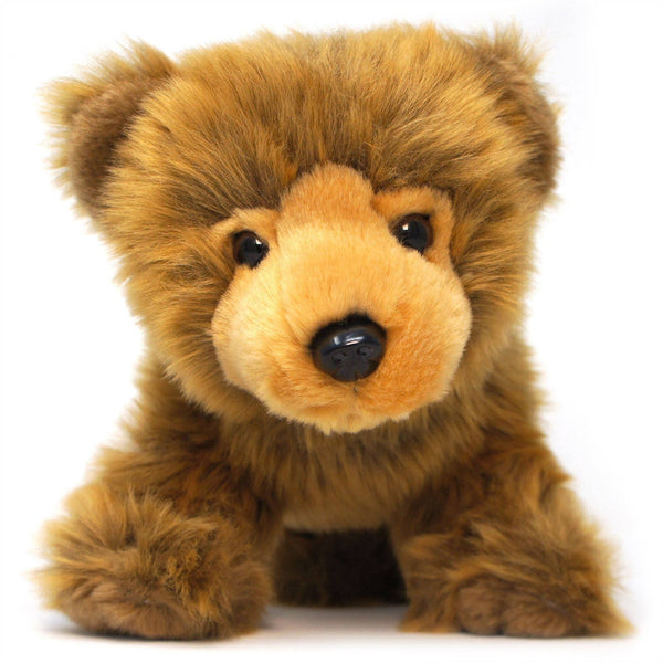 Baby Grizzly Bear