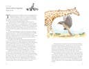 Around the World in 80 Birds