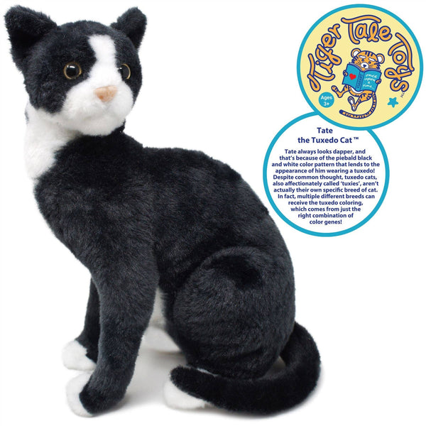 Tuxedo Cat
