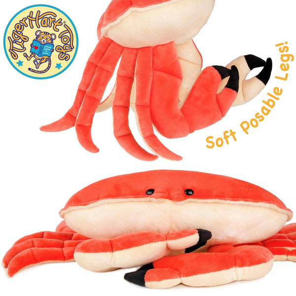 Cora The Crab