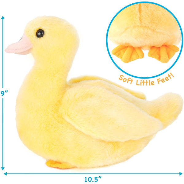 Dani the Duckling