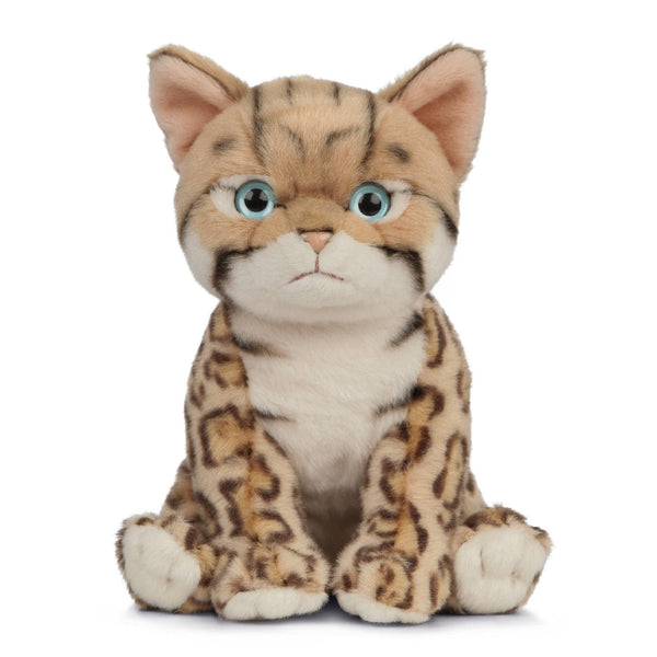 Bengal Kitten Toy