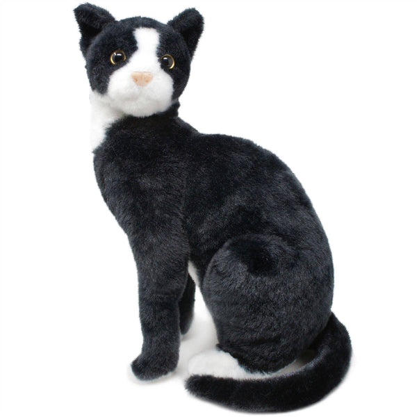 Tuxedo Cat