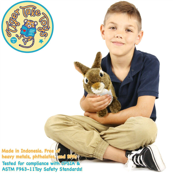 Brigid The Rabbit