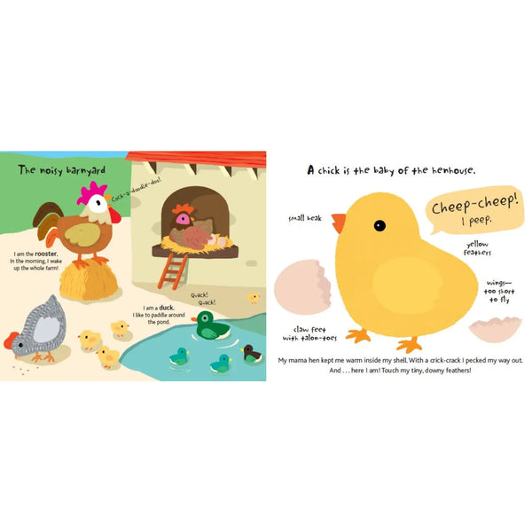 Touch & Explore Book