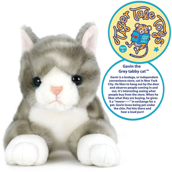 Grey Tabby Cat