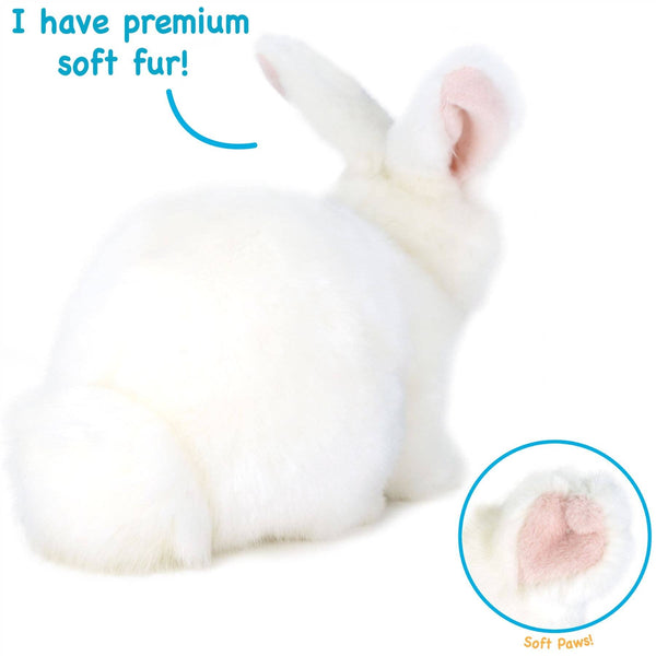 Wren The White Rabbit