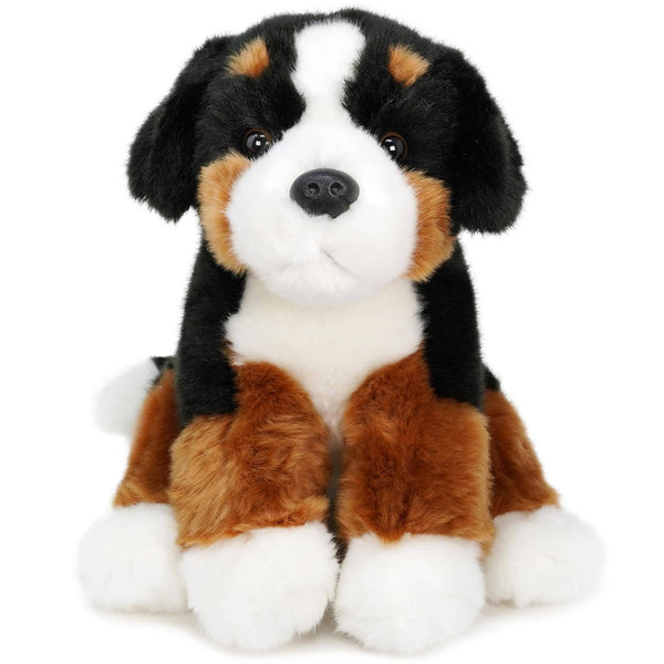 Bernese Mountain Dog