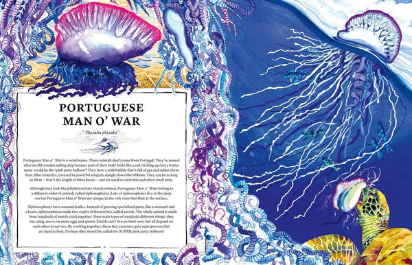 Oceanopedia