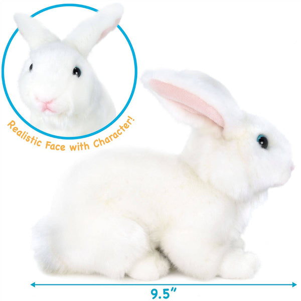 Wren The White Rabbit