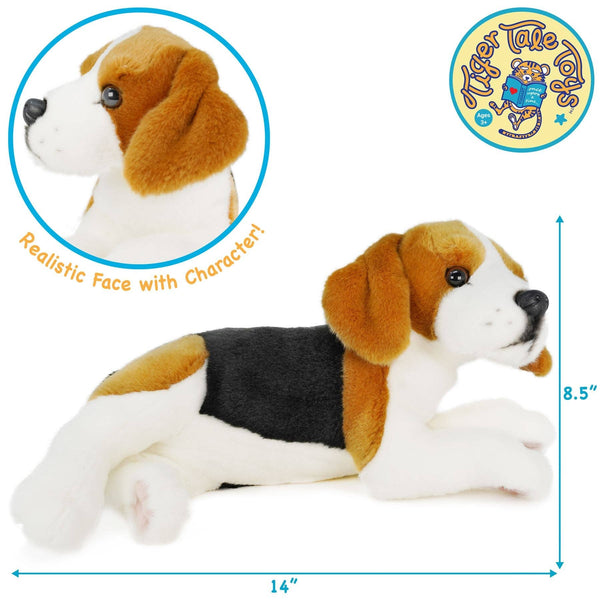 Burkham The Beagle