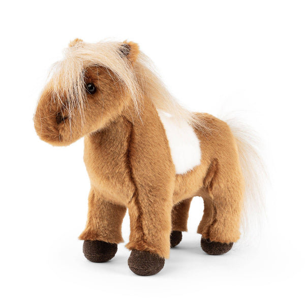 Shetland Pony