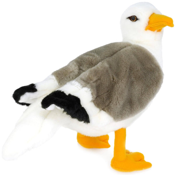 Seamus The Seagull