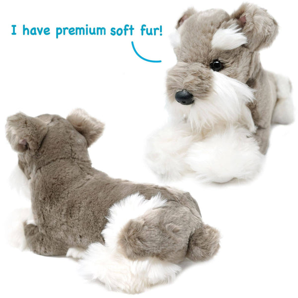 Siegfried The Schnauzer