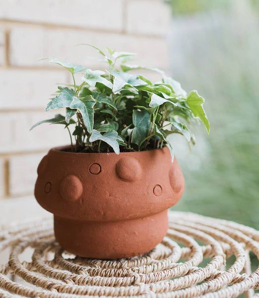 Mushroom Plant Pot