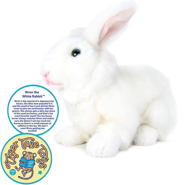 Wren The White Rabbit