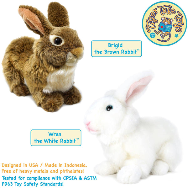 Brigid The Rabbit