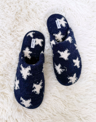 Slipper Slides