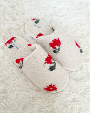 Slipper Slides