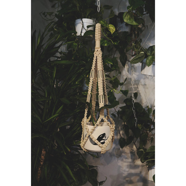 giant macrame plant hanger Large Macrame Plant Holder – a.ell atelier